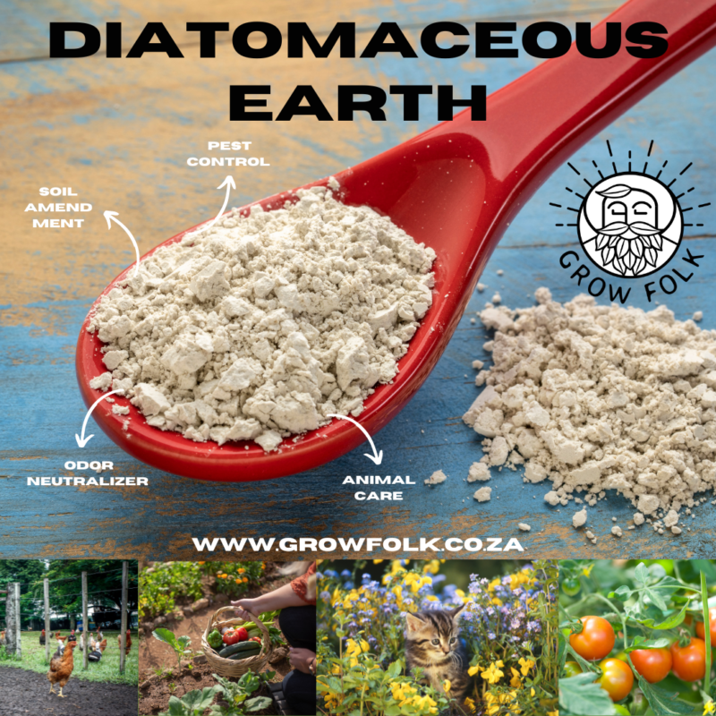 Diatomaceous Earth DE Diatoms