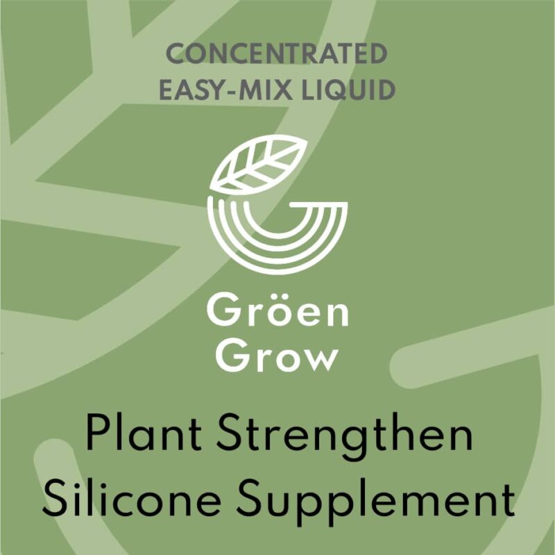 Plant Strengthen Silicone Supplement