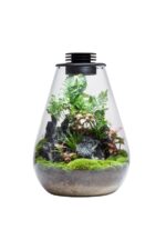 Bioloark Bio Bottle Terrarium SD200