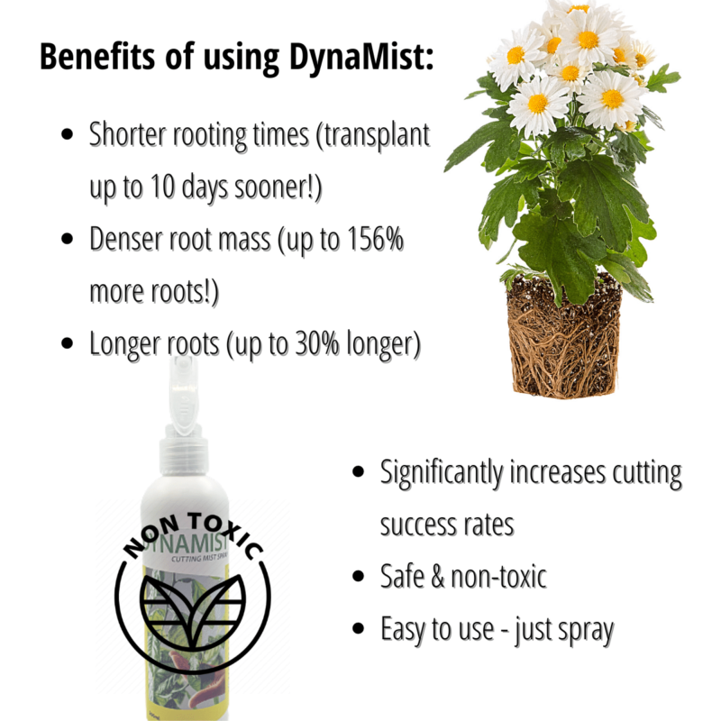 DynaMist Rooting Spray