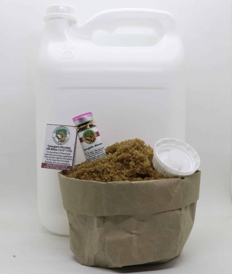 Synergistic Microbes Brew Kit