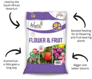 Bio Ganic flowers and fruit