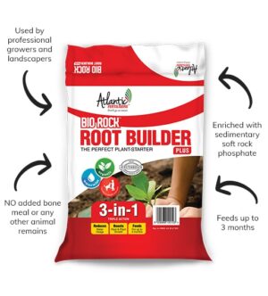 Bio Rock Root Builder