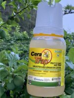 Cera Complete Biological Fruit Fly Trap And Bait