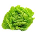 Lettuce - Butter- Ultra - Organic Seeds