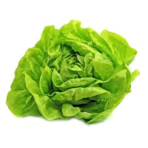 Lettuce - Butter- Ultra - Organic Seeds