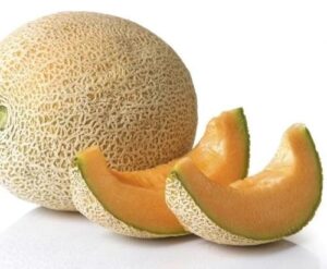 Melon - Spanspek - Hales Best - Organic Seeds