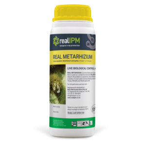 Metarhizium Anisopliae Bio-Pesticide