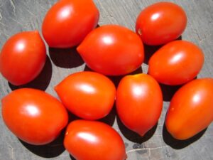 Tomato - Cherry - Red Bella Rosa - Organic Seeds