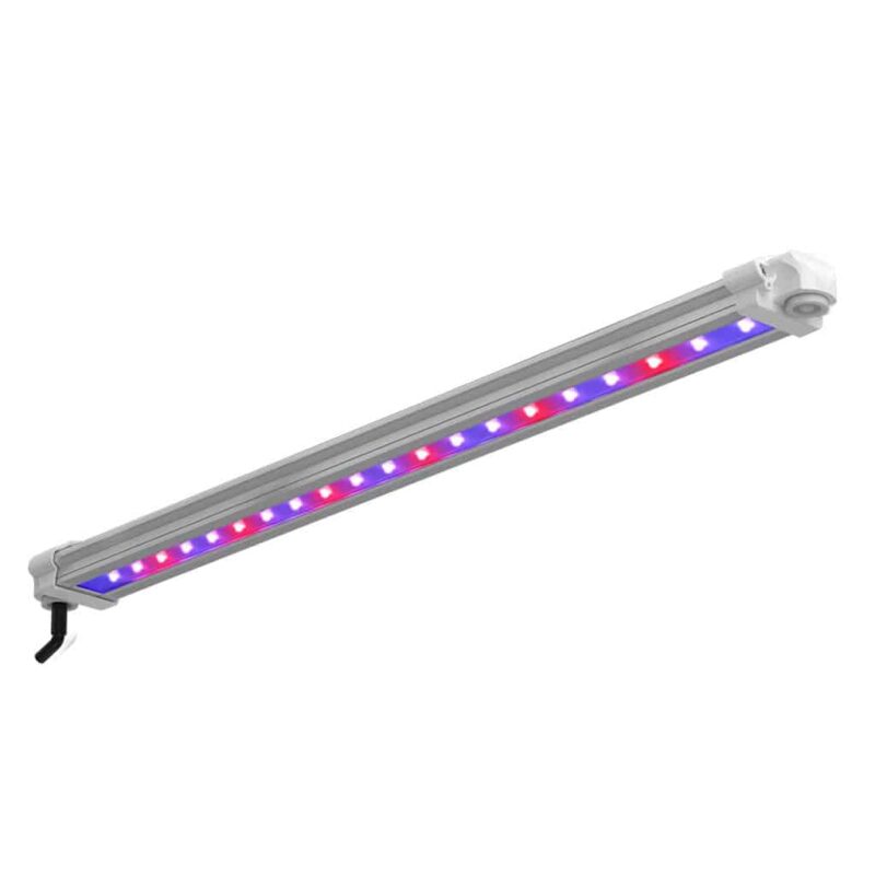 LUMII BLACK BAR 30W UV FR LED