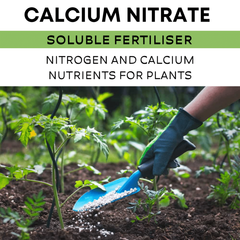 Calcium Nitrate Soluble Fertiliser