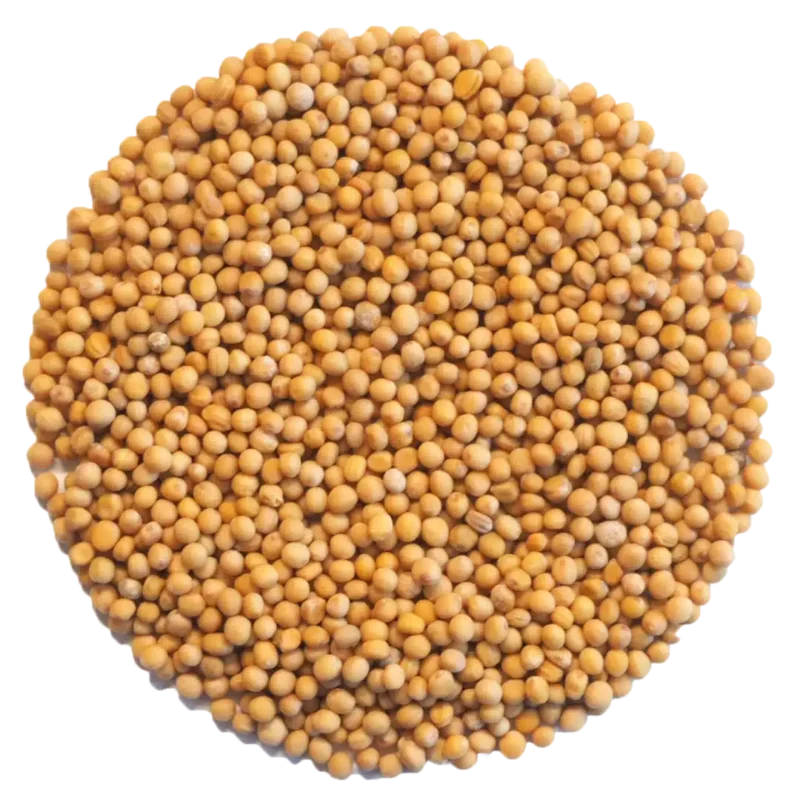 Mustard Seeds