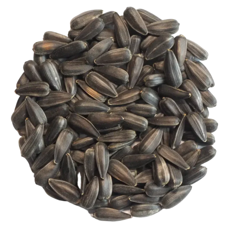 Sunflower Seeds