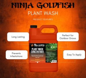 Ninja Goldfish Plant Wash Natural Pesticide