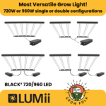 BLACK² 720W 960W LED