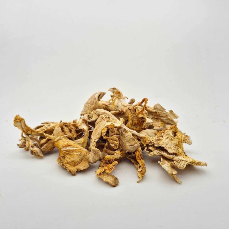 Oyster Mushrooms Dried Grow Folk