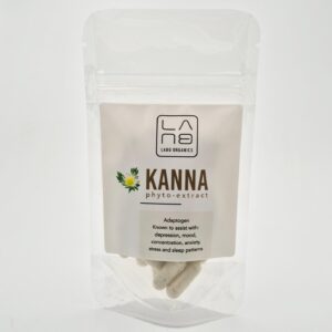 Sceletium Kanna Extract Capsules