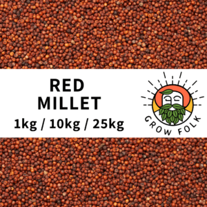 Grow Folk Red Millet