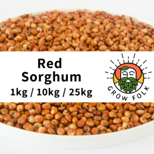 Grow Folk Red Sorghum