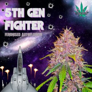 5th Gen Fighter Fem Auto Bay Seeds Cannabis