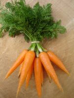 Carrot - Dulciva - Organic Seeds