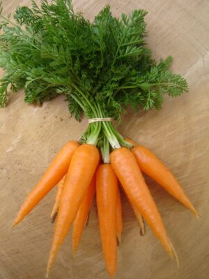 Carrot - Dulciva - Organic Seeds