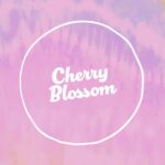 Cherry Blossom Feminised Seed