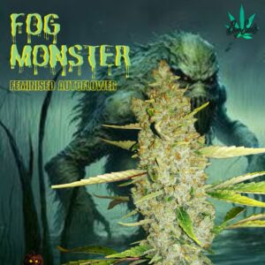 Fog Monster Fem Auto Bay Seeds Cannabis