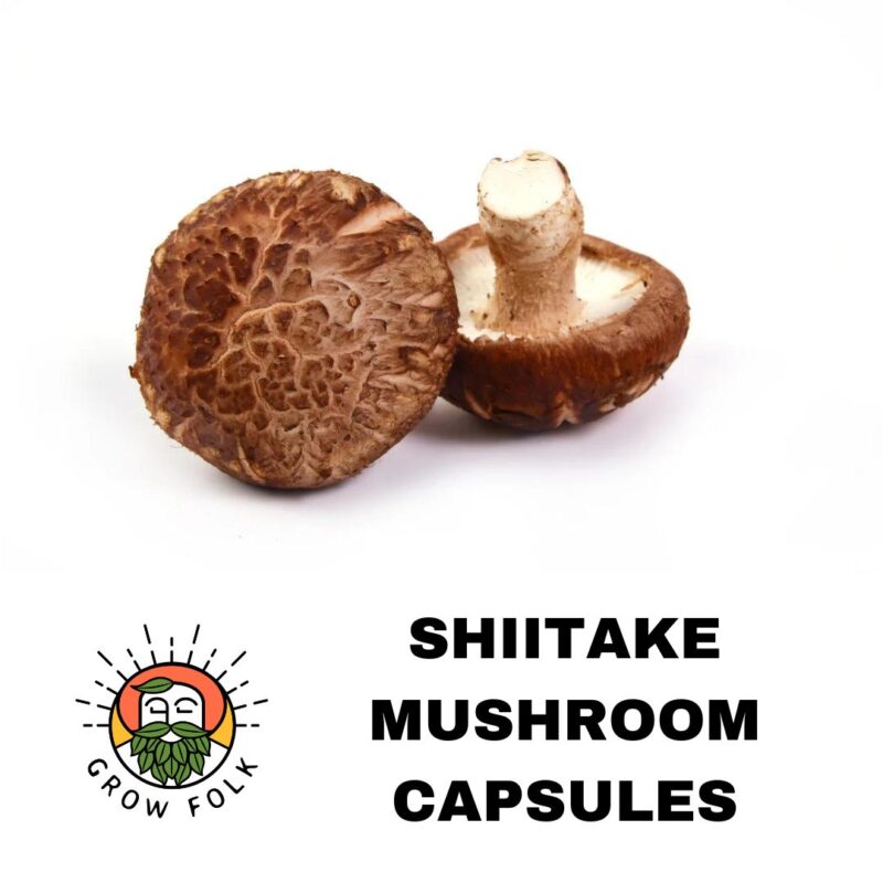 Shiitake Mushroom Capsules