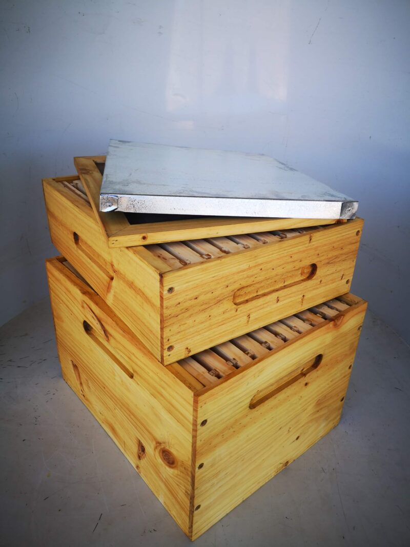 complete beehive with super 2