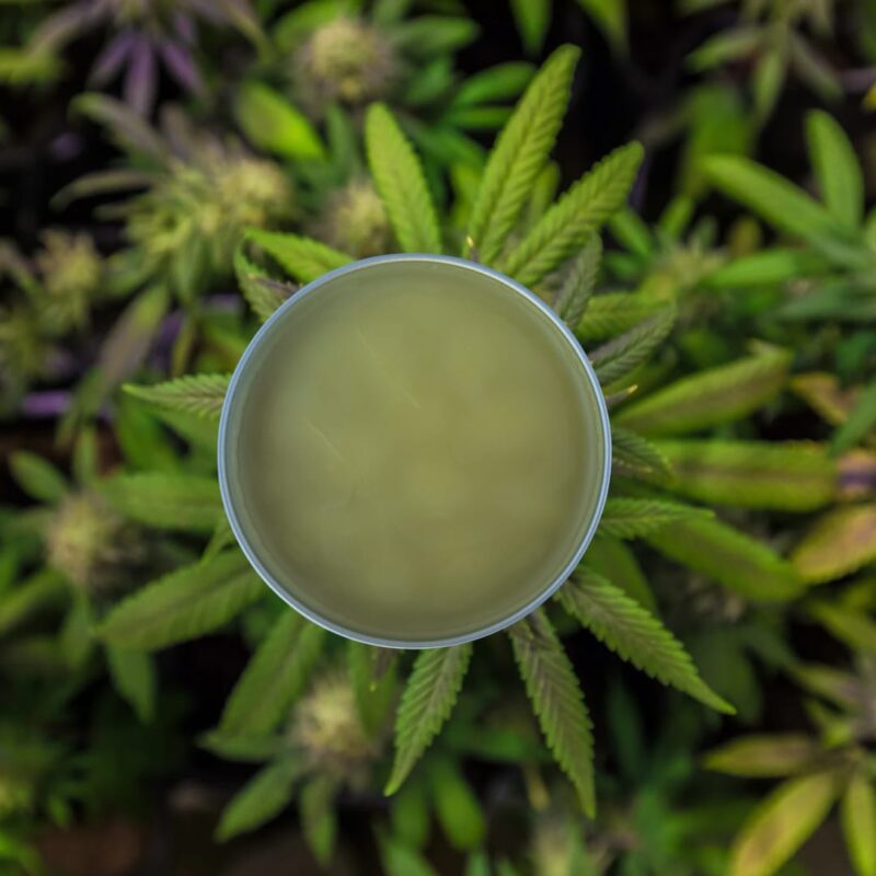 Full Spectrum Canna Healing Balm