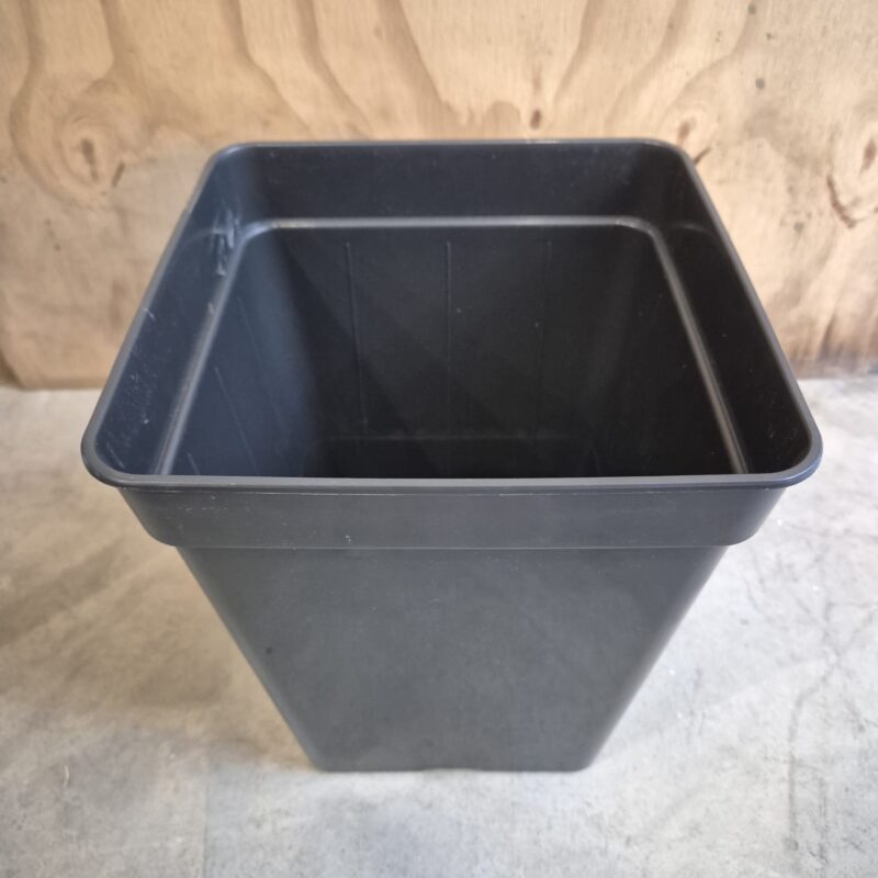 Pot Square Black Plastic 11L (22 X 22 X 26 CM)