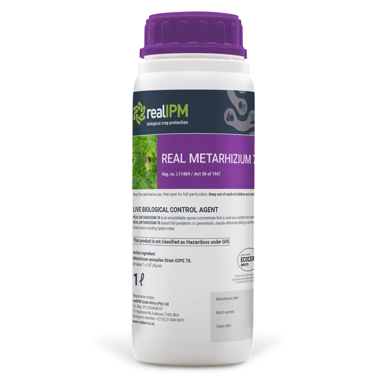 Metarhizium 78 Bio-Pesticide
