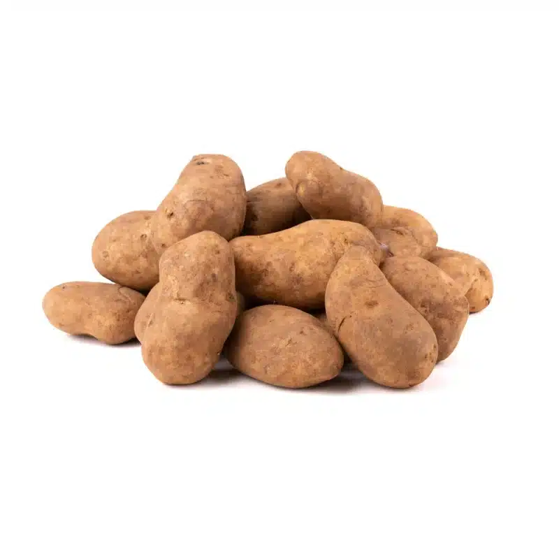 Seed Potato Mondial - 7 Tubers
