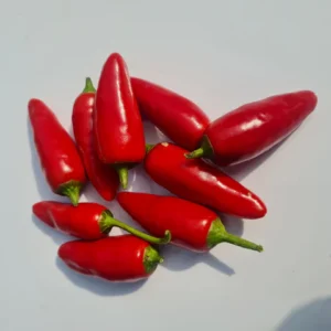 African Birds Eye Peri Peri (Devil)