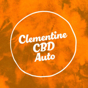 Clementine CBD Auto Seed 3+2