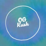 OG Kush SS Feminised Seed 3+2