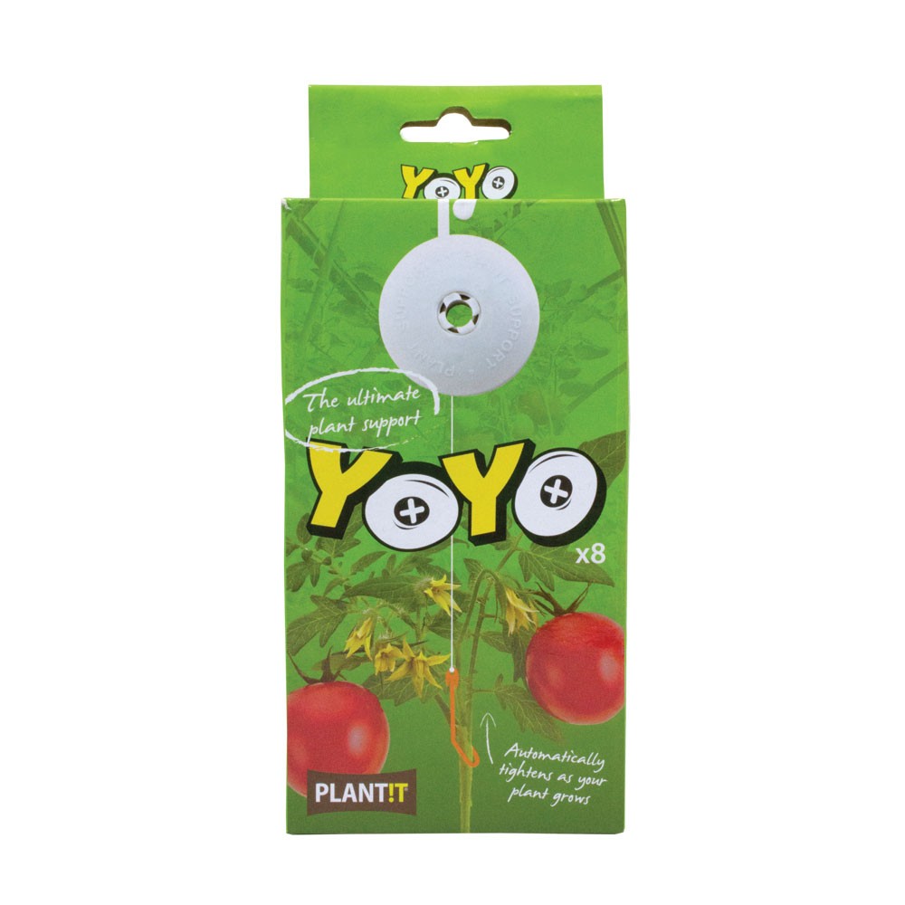 Plant YoYo - Single 1 Plant YoYo - Single