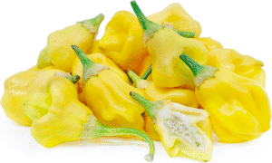 Aji Fantasy Yellow