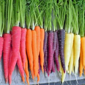 Carrot Rainbow