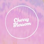 Cherry Blossom Feminised Seed 3+2