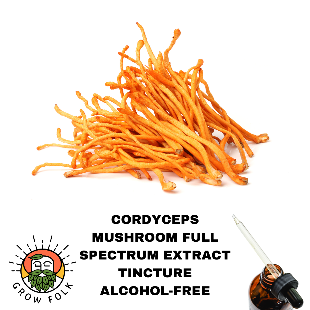 Cordyceps Mushroom Full Spectrum Extract Tincture 1 Cordyceps Mushroom Full Spectrum Extract Tincture