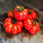 Tomatoes - Costoluto Di Parma