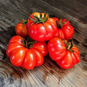 Tomatoes - Costoluto Di Parma
