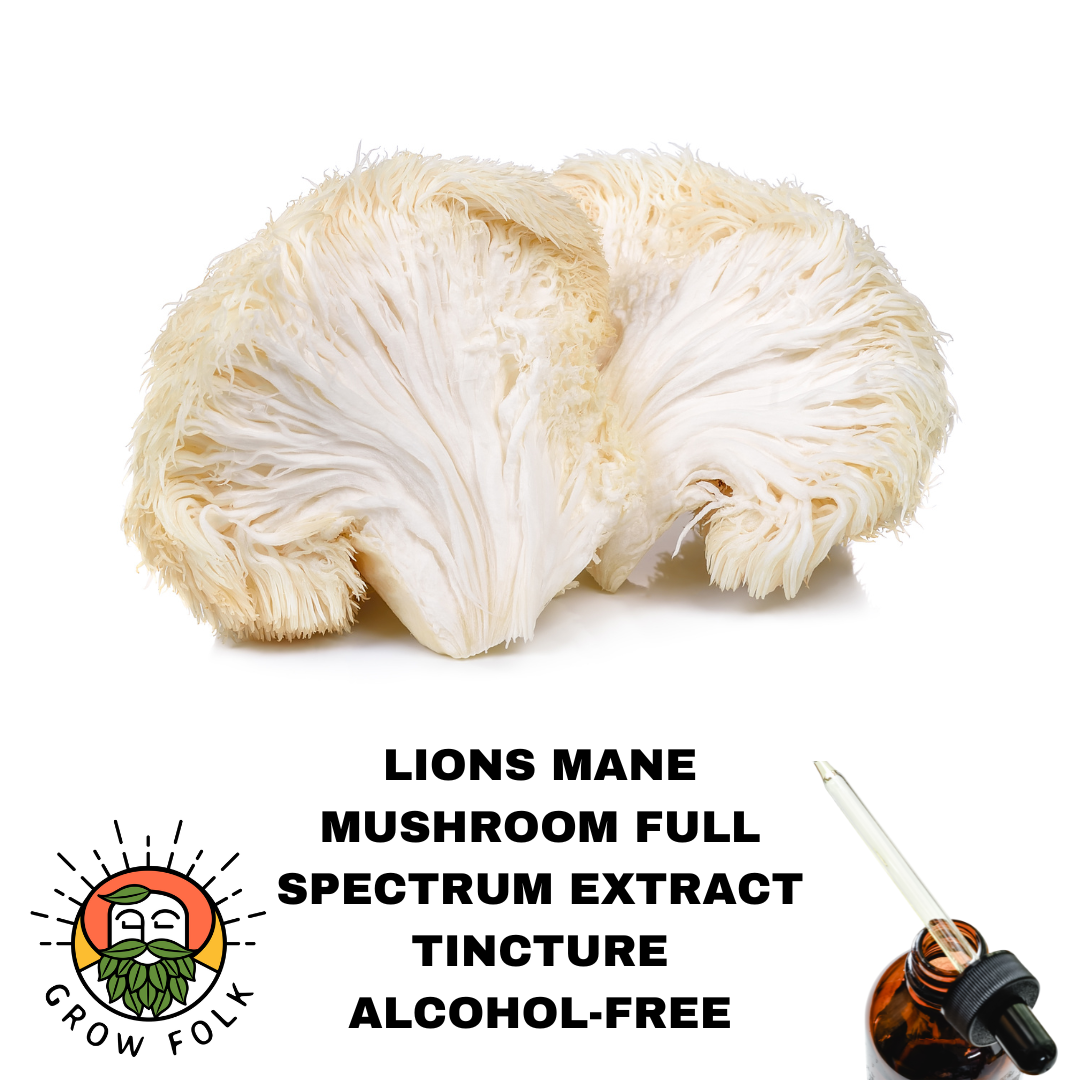 Lions Mane Mushroom Full Spectrum Extract Tincture 1 Lions Mane Mushroom Full Spectrum Extract Tincture