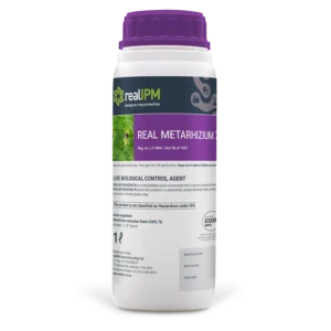 Metarhizium 78 Bio-Pesticide