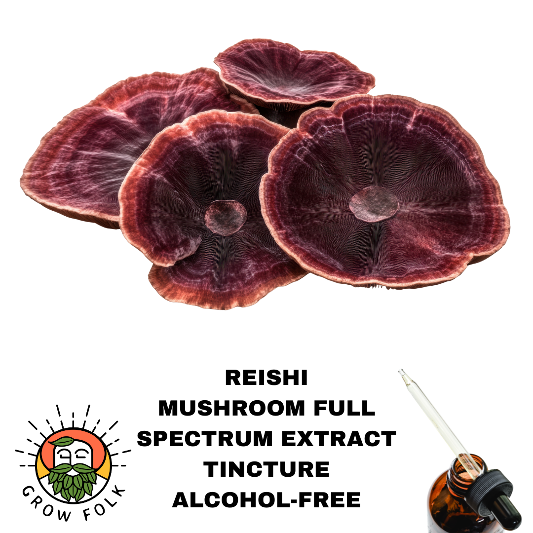 Reishi Mushroom Full Spectrum Extract Tincture 1 Reishi Mushroom Full Spectrum Extract Tincture