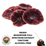Reishi Mushroom Full Spectrum Extract Tincture