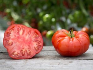 Tomatoes - Stump of the World
