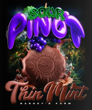 Thin Mint x Sour Pinot Auto Feminised - 5 pack